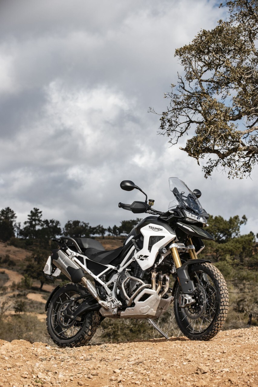 Triumph Tiger 1200: la TIGRE di Hinckley